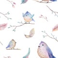 Watercolor spring rustic pattern with nest, birds, branch,tree