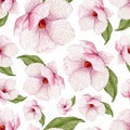 Watercolor spring seamless pattern with magnolia flowers and leaves.Blossoms background. Royalty Free Stock Photo