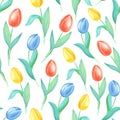 Watercolor spring seamless pattern with Yellow,red,blue tulips.Flowers on a white background