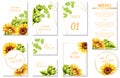 Watercolor spring wedding event invitation cards with green artichoke and sunflower