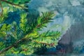 Watercolor spruce branch. Festive Christmas watercolor postcard