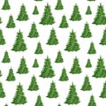 Watercolor spruce forest seamless pattern. Hand painted evergreen fir trees isolated on white background. Woodland Royalty Free Stock Photo