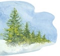 Watercolor spruce forest