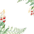 Watercolor square forest frame, border with fern, green branches, red and yellow berries and wildflowers isolated on Royalty Free Stock Photo
