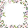 Watercolor square frame apple tree branch and flowers, blooming tree on white background, isolated watercolor Royalty Free Stock Photo