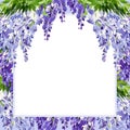 watercolor square frame with branch of wisteria blossom flowers, hand drawn illustration with spring lilac flowers, blue