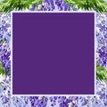 watercolor square frame with branch of wisteria blossom flowers, hand drawn illustration with spring lilac flowers, blue