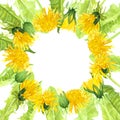 Watercolor square frame of dandelion buds and leaves, illustration of summer yellow flowers Royalty Free Stock Photo