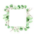 Watercolor square frame with eucalyptus leaves and cotton flowers. clipart of a rectangular frame with cotton bolls and eucalyptus