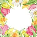 Watercolor square frame of first spring flowers isolated on the white background. Yellow and pink tulips, narcissuses.