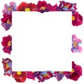 Watercolor  square frame of flowers with pink and red petals Royalty Free Stock Photo