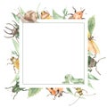 Watercolor square frame with insects, ladybug, beetles, bee, snail, caterpillar. Leaves and grass