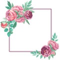 Watercolor square frame peony flowers leaves branches of eucalypt isolated on white background. Hand drawn. Arrangement