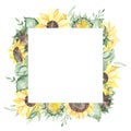 Watercolor square frame with sunflowers, buds, leaves, branches, flowers, foliage