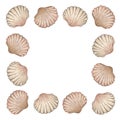 Watercolor square frame with vintage seashells isolated on white background. Marine collection.