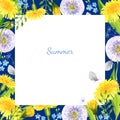 watercolor square white frame with summer field flowers, hand draw illustration of yellow dandelions and blow balls Royalty Free Stock Photo