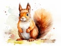 watercolor squirrel , different poses, white background, easy cutout, clip art,