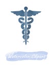 Watercolor The Staff of Asclepius health medical cliparts, healthcare clipart, medical illustration, doctor cliparts
