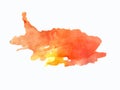 Watercolor stain in the shape of a fish on a white paper surface background Associative drawing