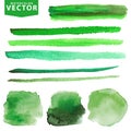 Watercolor stains,brushes set.Green