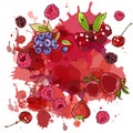 Watercolor stains and wild berries Cherry, strawberry and raspberry, blueberry, blackberry on white background. Splashes