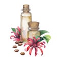 Watercolor star anise oil