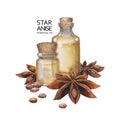 Watercolor star anise oil