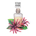 Watercolor star anise oil