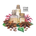 Watercolor star anise oil