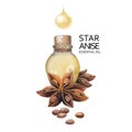 Watercolor star anise oil