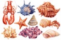 Watercolor starfish, coral, lobster, shells on isolated white background, hand painted sea illustration Royalty Free Stock Photo