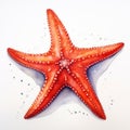 Realistic Watercolor Painting Of Red Starfish - Contest Winner