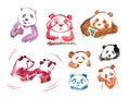 Watercolor stickers panda