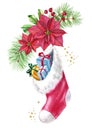 Watercolor stocking with gifts on bouquet with red flowers. Christmas postcard with pine tree, poinsettia, golden Royalty Free Stock Photo