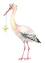 Watercolor Stork with nipple