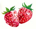 Watercolor strawberries