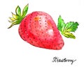 Watercolor strawberry