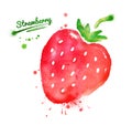 Watercolor strawberry