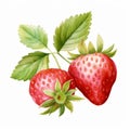 Watercolor Strawberry Pair: Realistic Detailing With Surrealistic Elements