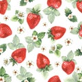 Watercolor seamless pattern with red ripe strawberries and green leaves and flowers. Royalty Free Stock Photo