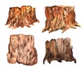 Watercolor stump isolated on white background. a set of interesting watercolor drawings of stumps with wood texture in