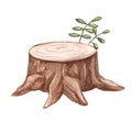 Watercolor stump on a white background. Childish cute illustration. Nature, forest, jungle.