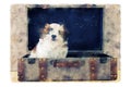 Watercolor style and abstract illustration of adorable shi tzu puppy sitting in a suitcase