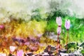 watercolor style and abstract image of cyclamen flowers.