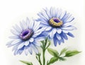 Watercolor style blue african daisy flower illustration and white background Royalty Free Stock Photo