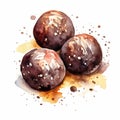 Watercolor Style Chocolate Truffles With Chocolate Glaze Royalty Free Stock Photo