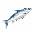 Watercolor Style Clipart Of Blue Fish On White Background