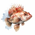 Watercolor Style Clipart: Colorful Monkfish Illustration