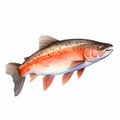 Watercolor Style Clipart Of A Rainbow Trout