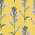 Watercolor style floral pattern, delicate flower wallpaper, violet bells. Royalty Free Stock Photo